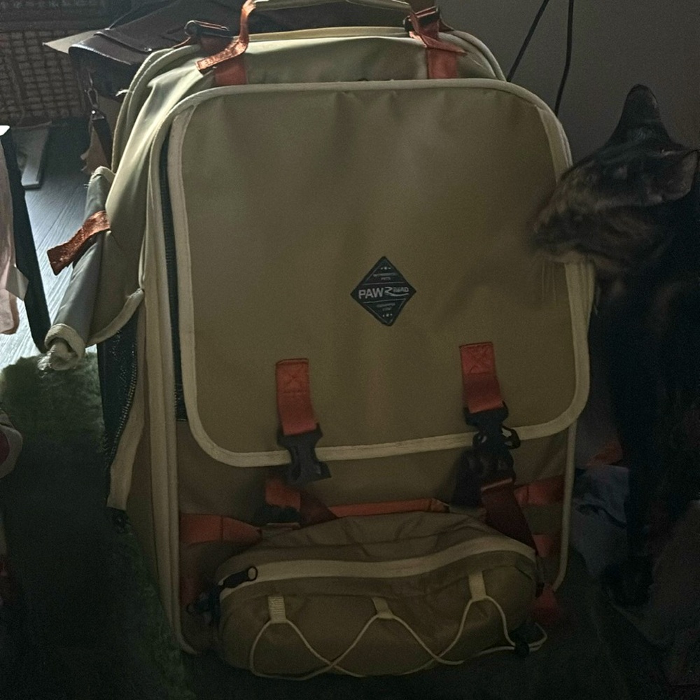 *sfw* cat carrier backpack with extendable back - Picture 1 of 2